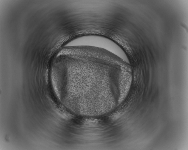 X0000096480206200802211222
