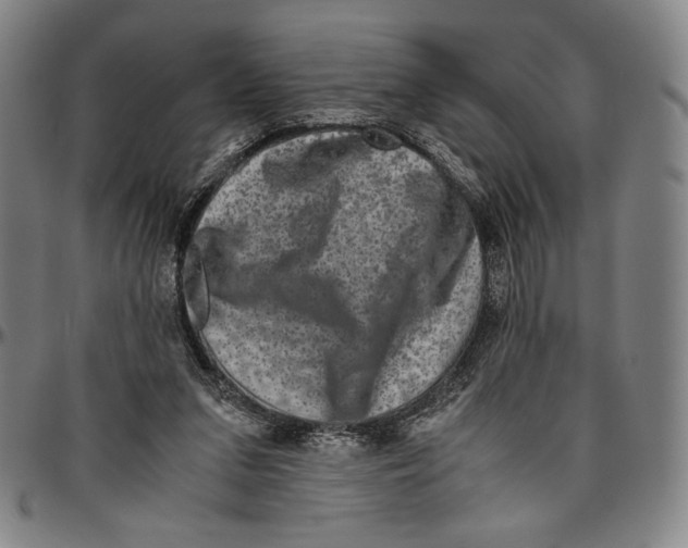 X0000096480207200802211222