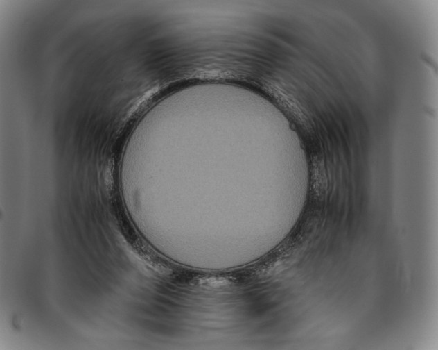 X0000096480208200802211222