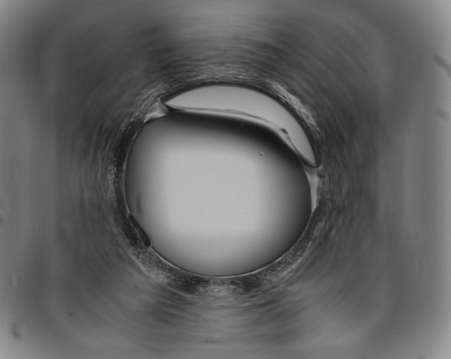 X0000096480209200802211222