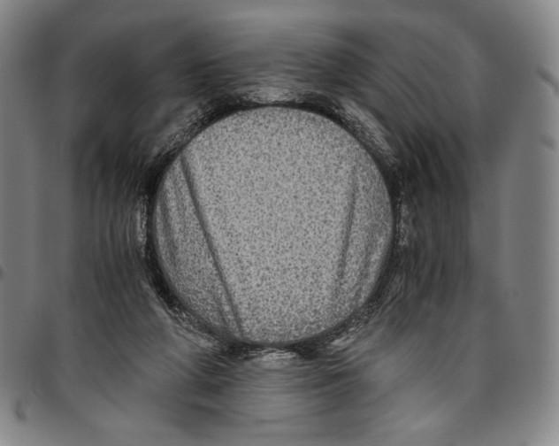 X0000096480210200802211222