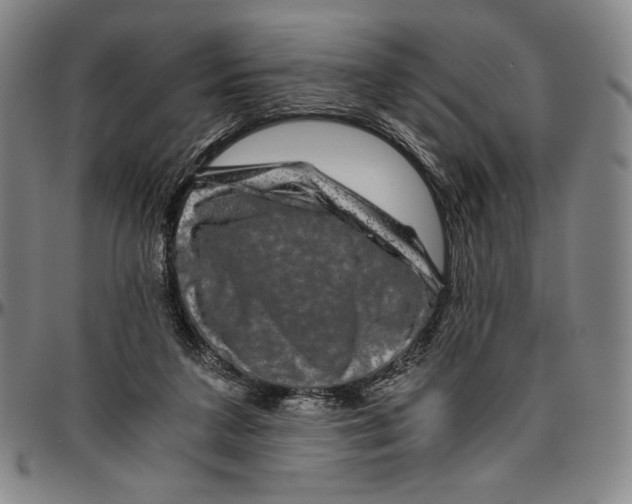 X0000096480211200802211222