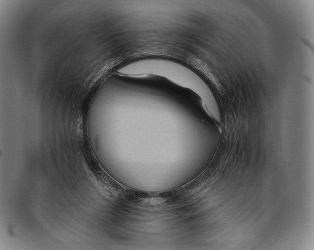 X0000096480212200802211222
