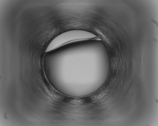 X0000096480213200802211222