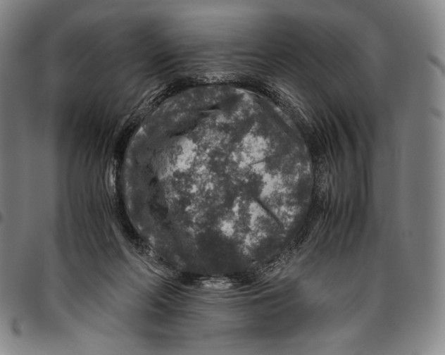 X0000096480214200802211222