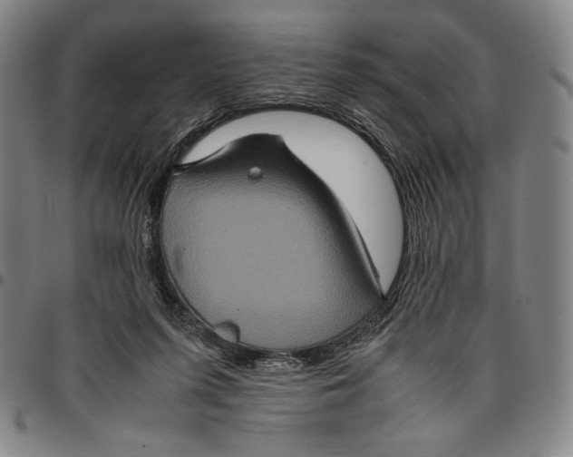 X0000096480215200802211222