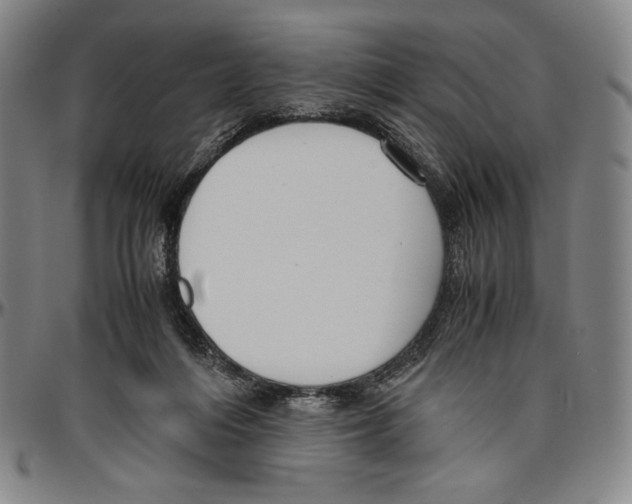 X0000096480216200802211222