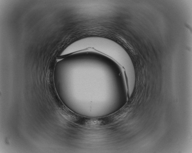 X0000096480217200802211222