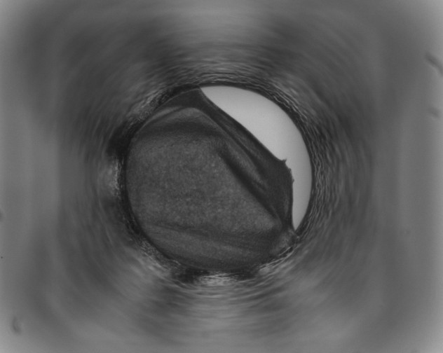 X0000096480219200802211222