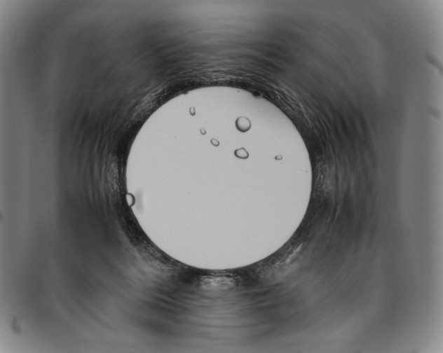 X0000096480220200802211222