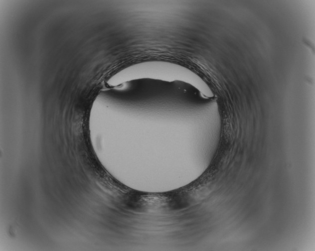 X0000096480221200802211222