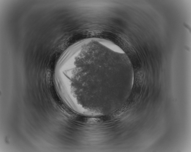 X0000096480222200802211222