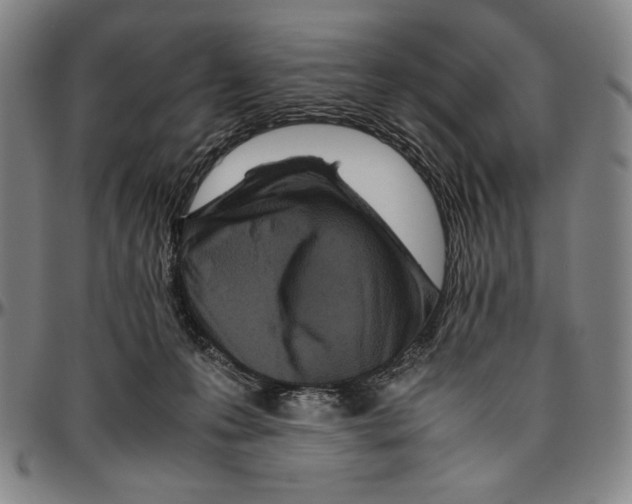 X0000096480223200802211222
