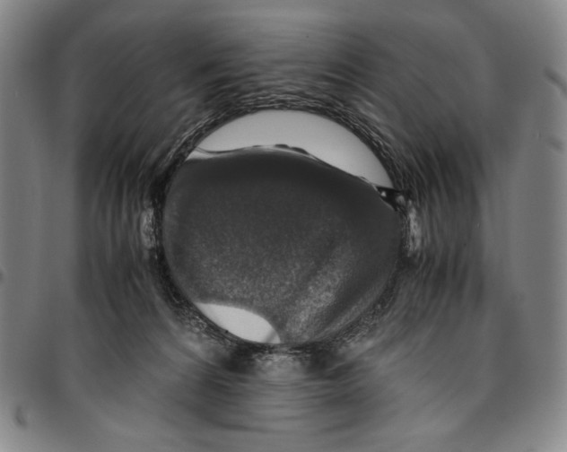 X0000096480224200802211222