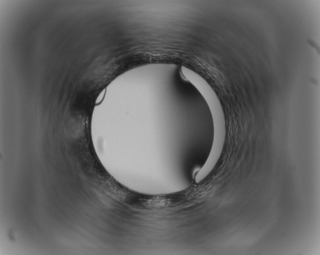 X0000096480225200802211222