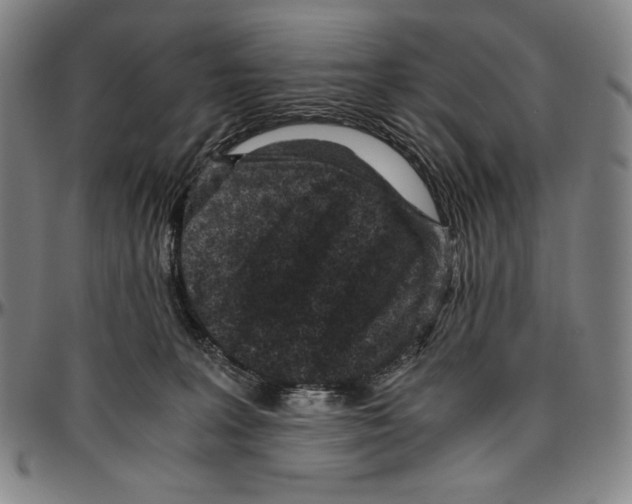 X0000096480227200802211222