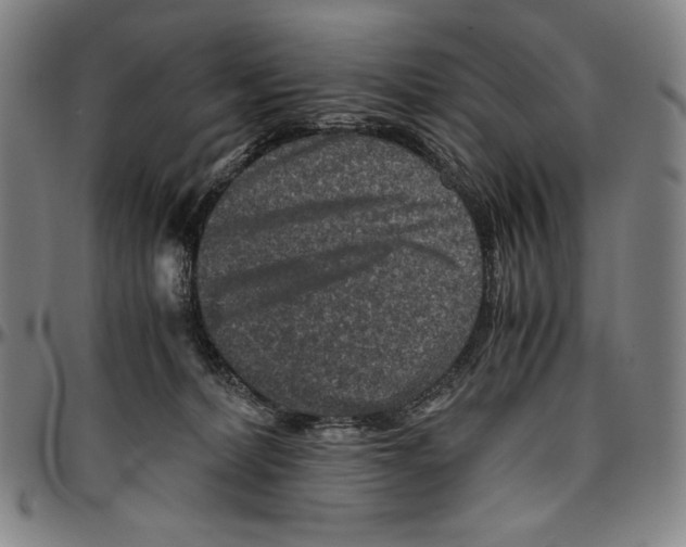 X0000096480228200802211222