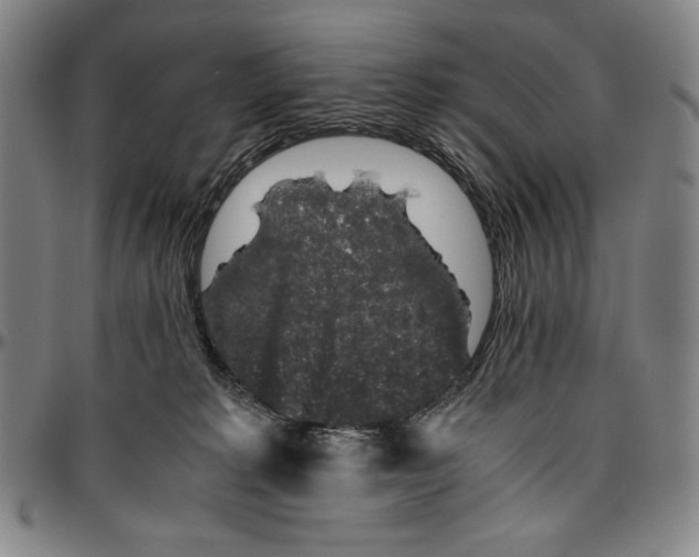 X0000096480229200802211222