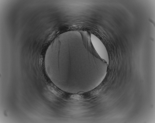 X0000096480231200802211222