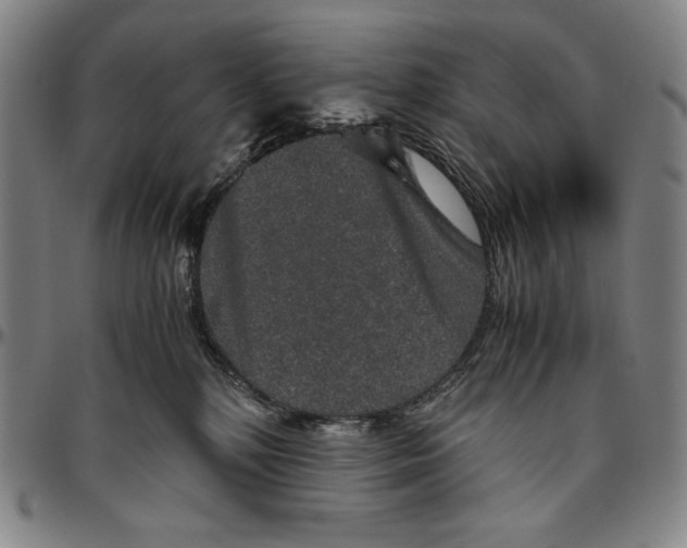 X0000096480232200802211222