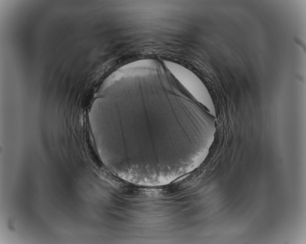 X0000096480233200802211222