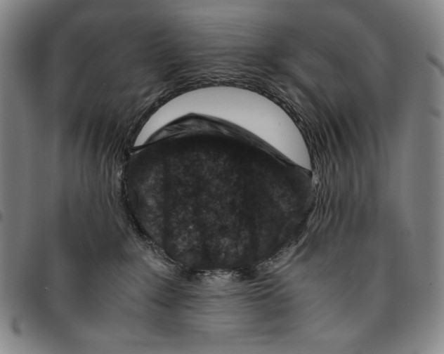 X0000096480235200802211222