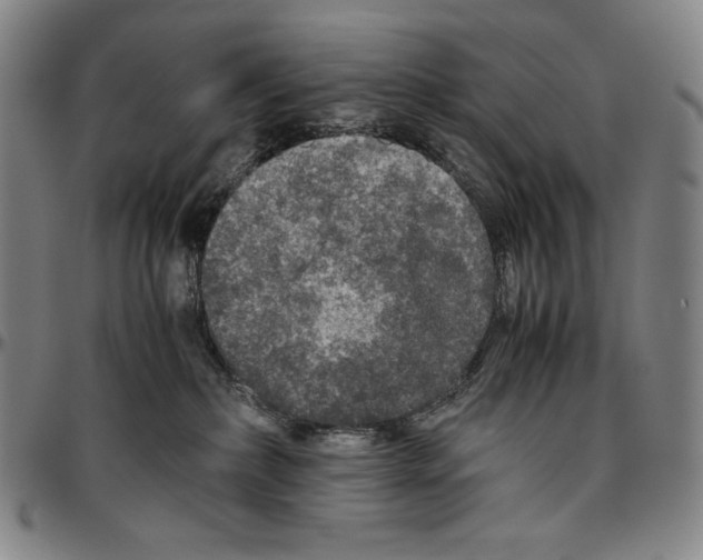 X0000096480236200802211221