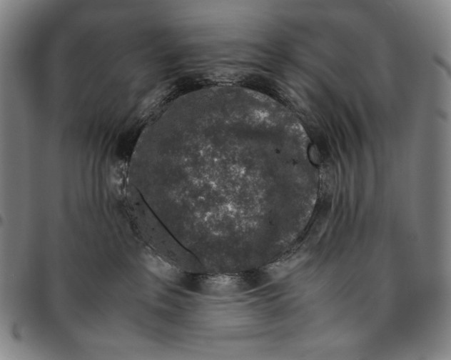 X0000096480237200802211221