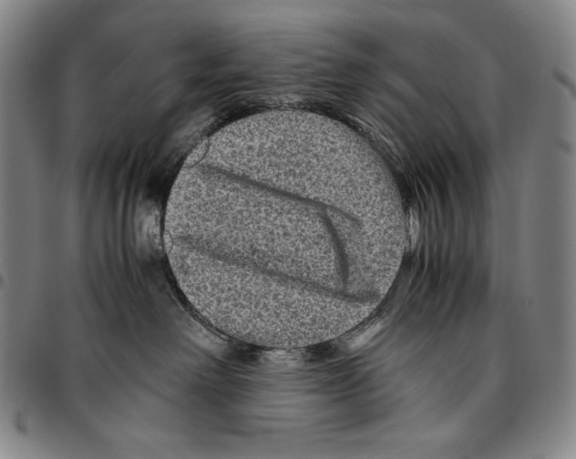 X0000096480238200802211221