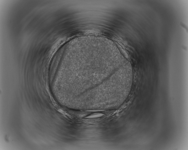 X0000096480241200802211221