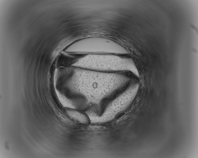 X0000096480242200802211221