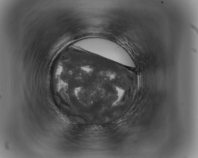 X0000096480243200802211221