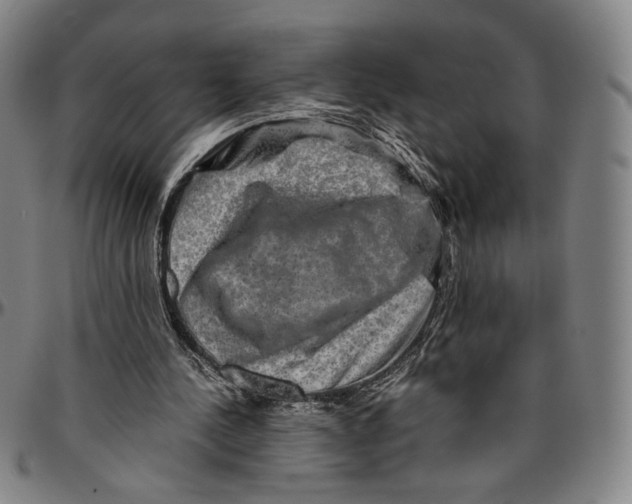 X0000096480244200802211221