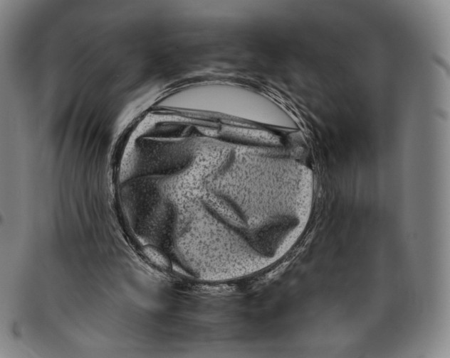 X0000096480245200802211221