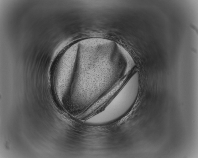 X0000096480246200802211221