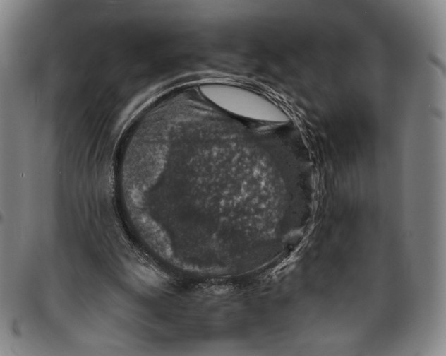 X0000096480247200802211221