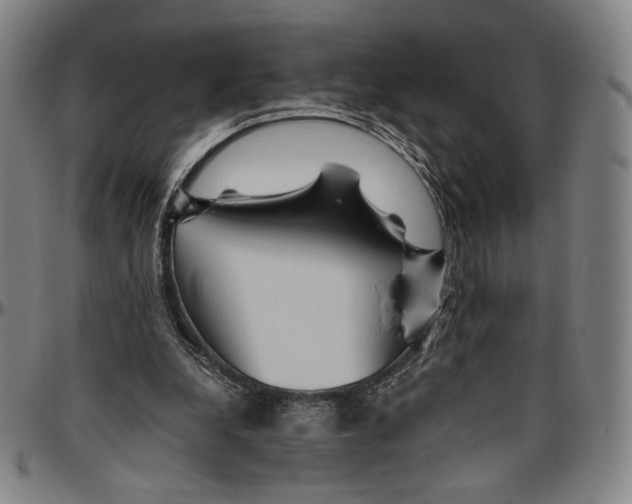 X0000096480248200802211221