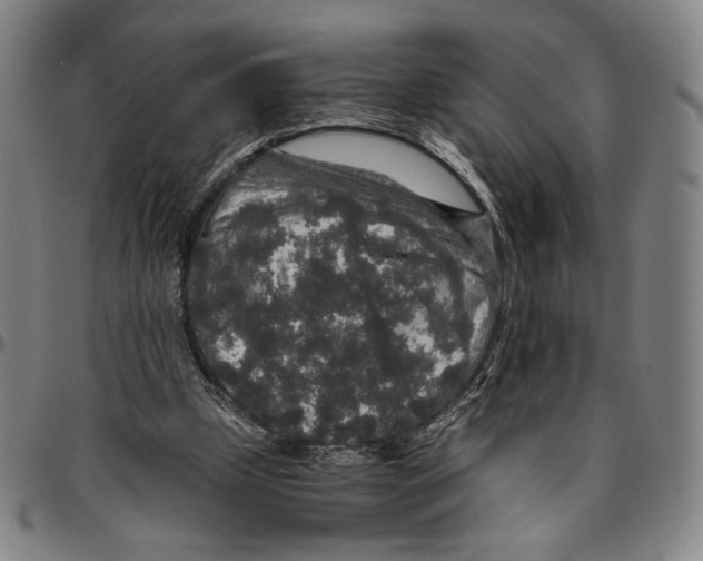X0000096480249200802211221