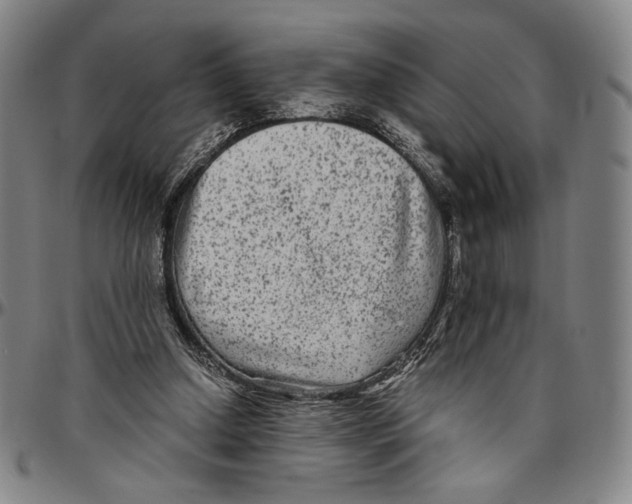 X0000096480250200802211221