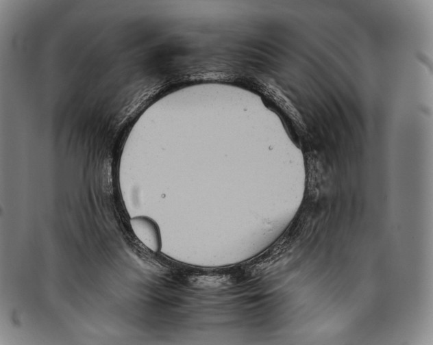 X0000096480251200802211221