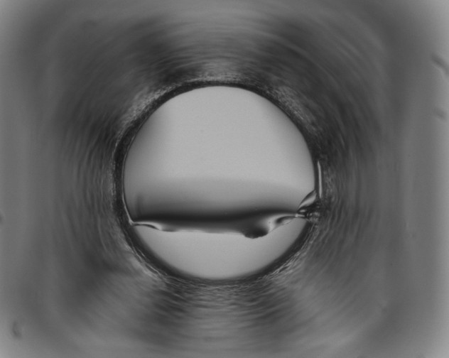 X0000096480252200802211221
