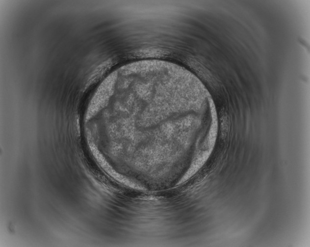 X0000096480254200802211221