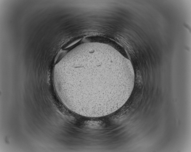 X0000096480255200802211221