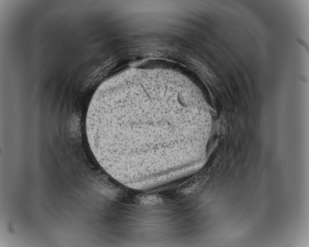X0000096480258200802211221