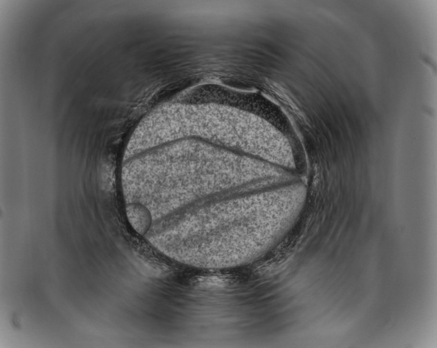 X0000096480259200802211221