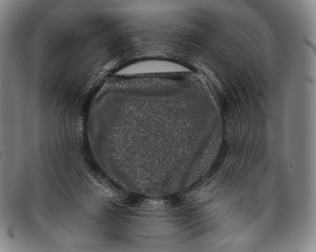 X0000096480260200802211221