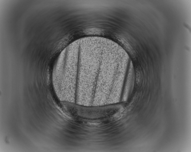 X0000096480261200802211221