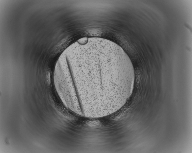 X0000096480262200802211221