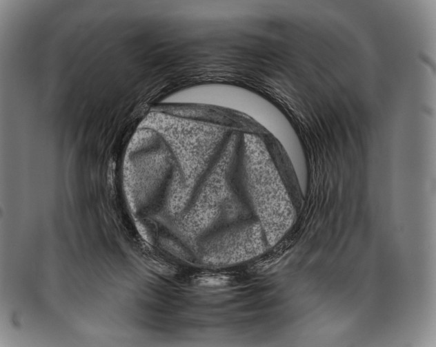 X0000096480263200802211221