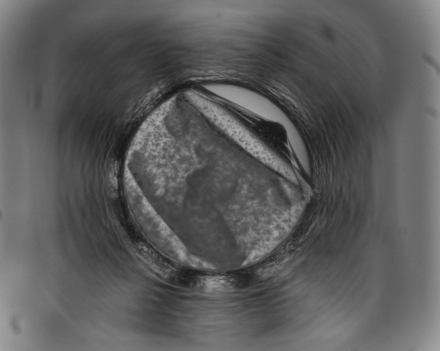 X0000096480264200802211221